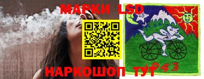 гидра Лесосибирск