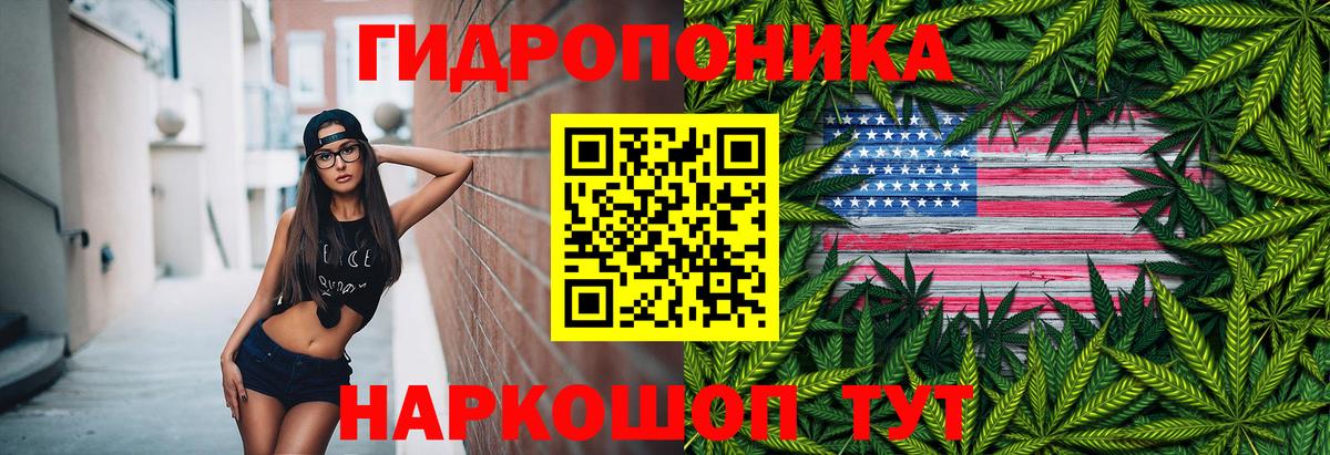 Канабис ГИДРОПОН Гудермес